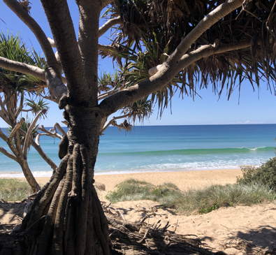 Beach at Sunshine Coast